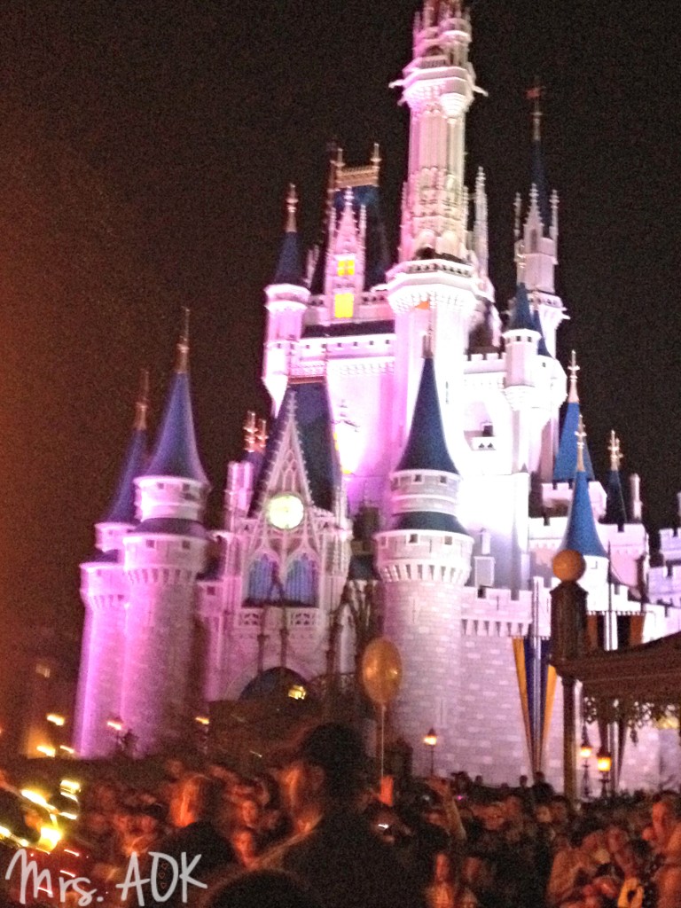 WDW Castle at Night