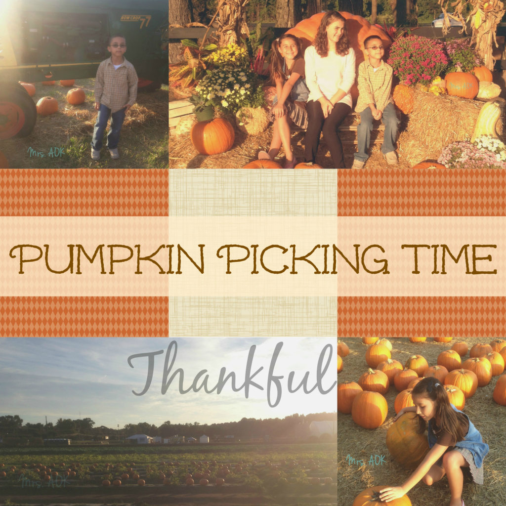 Thank You, Pumpkin Patch…