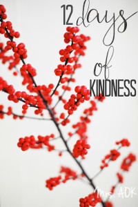 12 Days of Kindness| Mrs. AOK, A Work In Progress