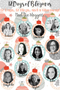 Meet the 12 Days of Blogmas bloggers: We're sharing 12 Days of holiday cheer and one HUGE giveaway you don't want to miss!! ;)